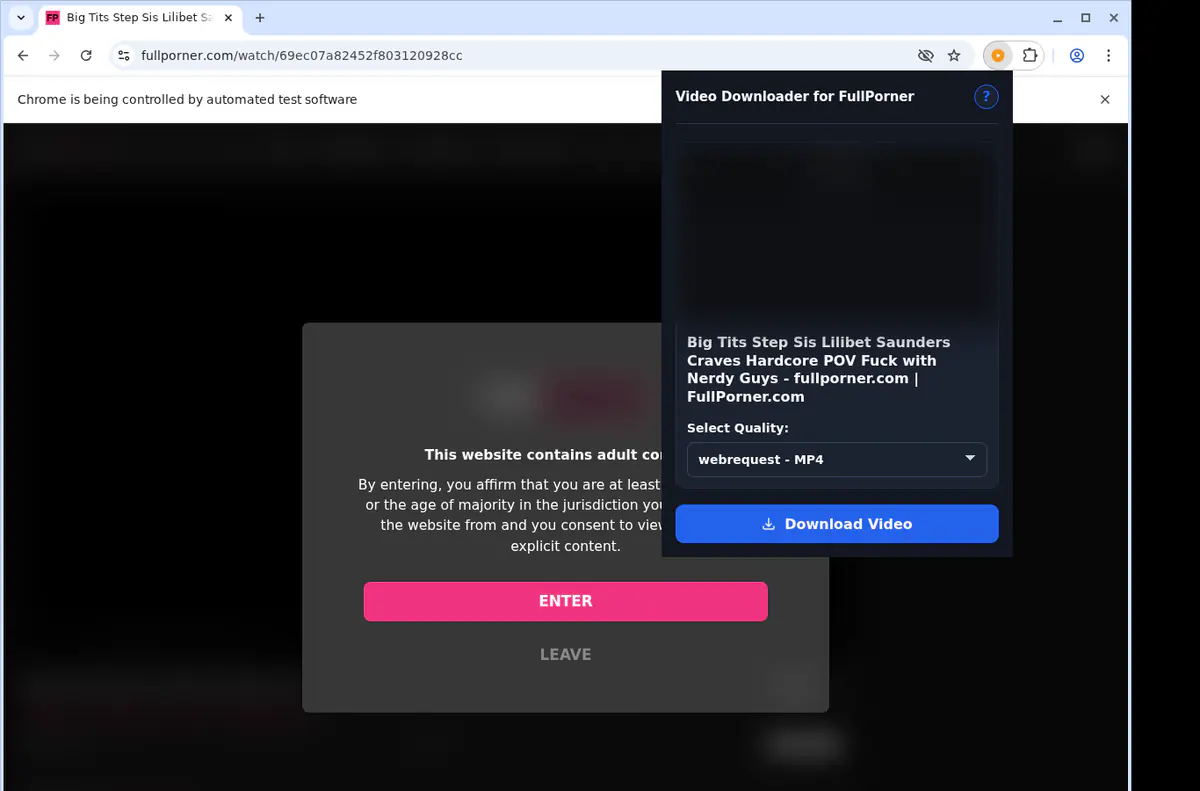 Fullporner Video Downloader browser extension screenshot 3